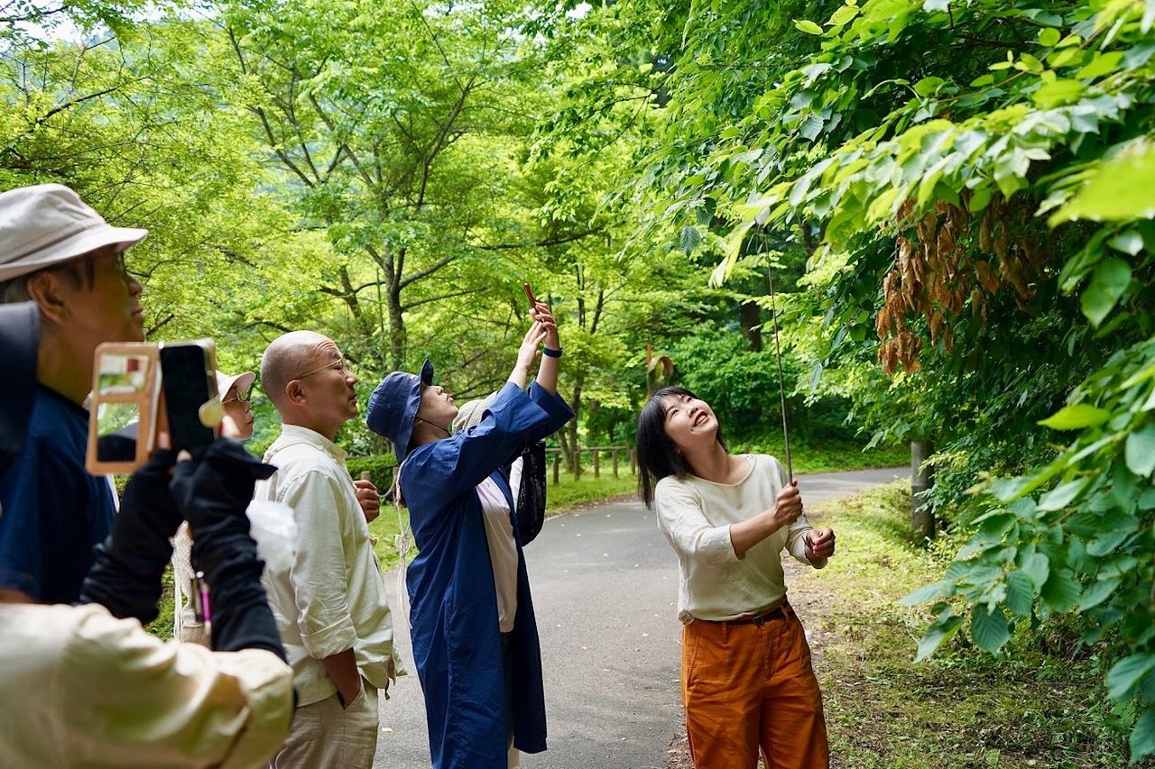 菊池 はるみの画像２