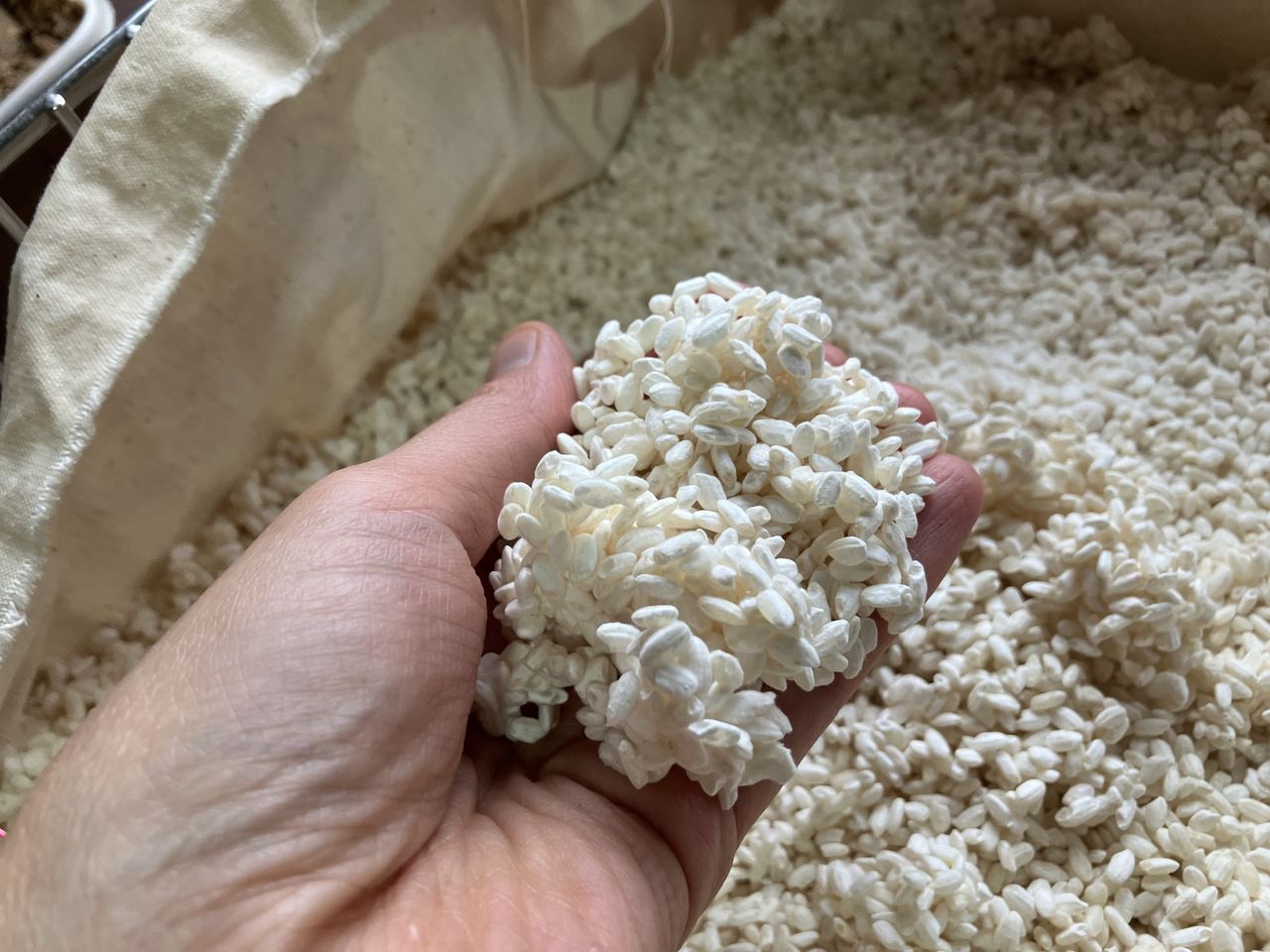 三栗 沙恵の画像