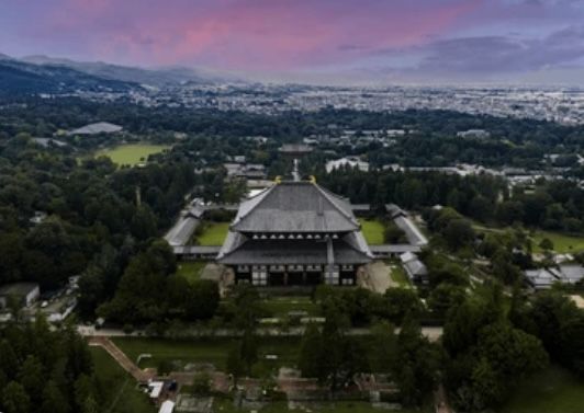 橋本 真季の画像