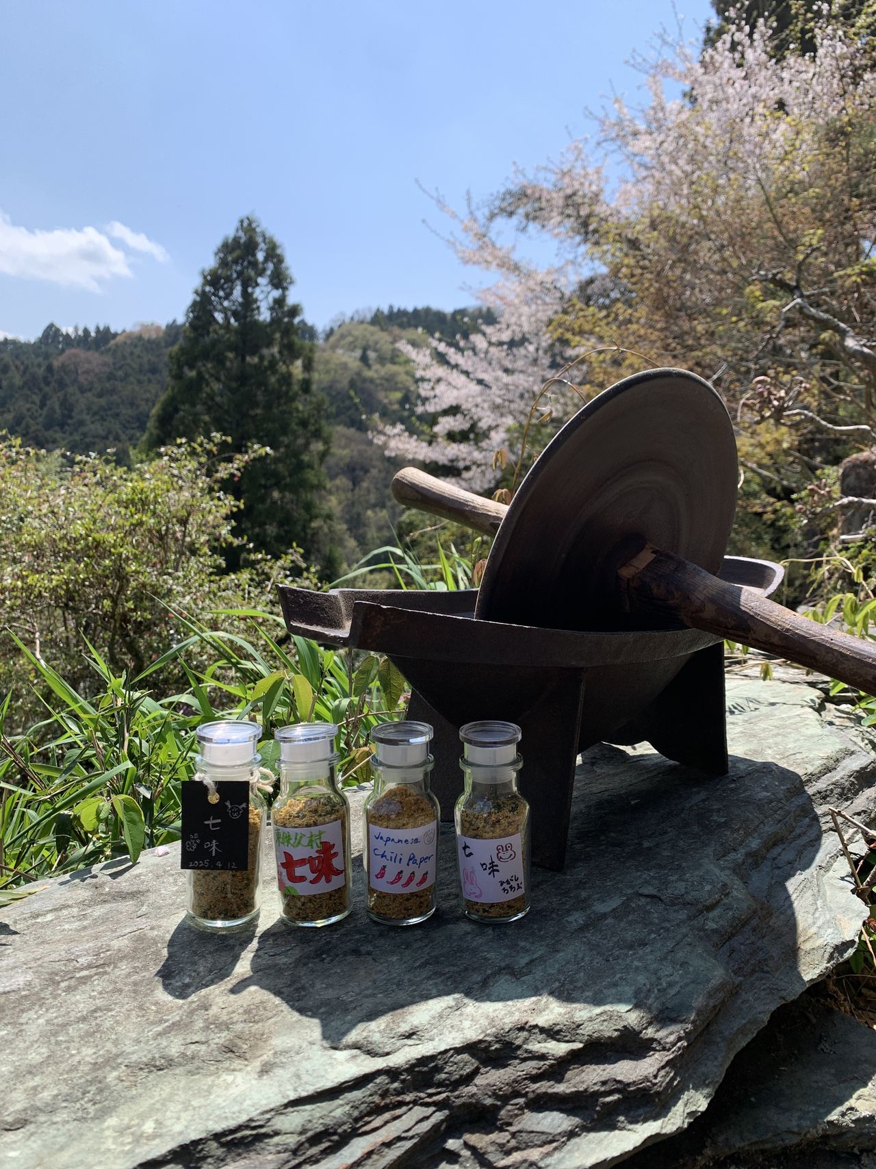 西 沙耶香の画像５