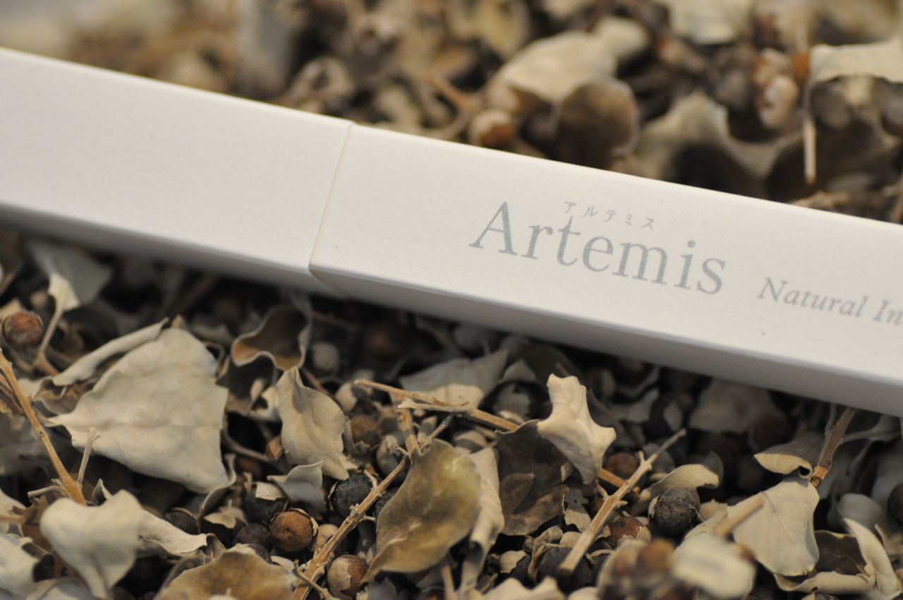 佐藤 暁子の画像４