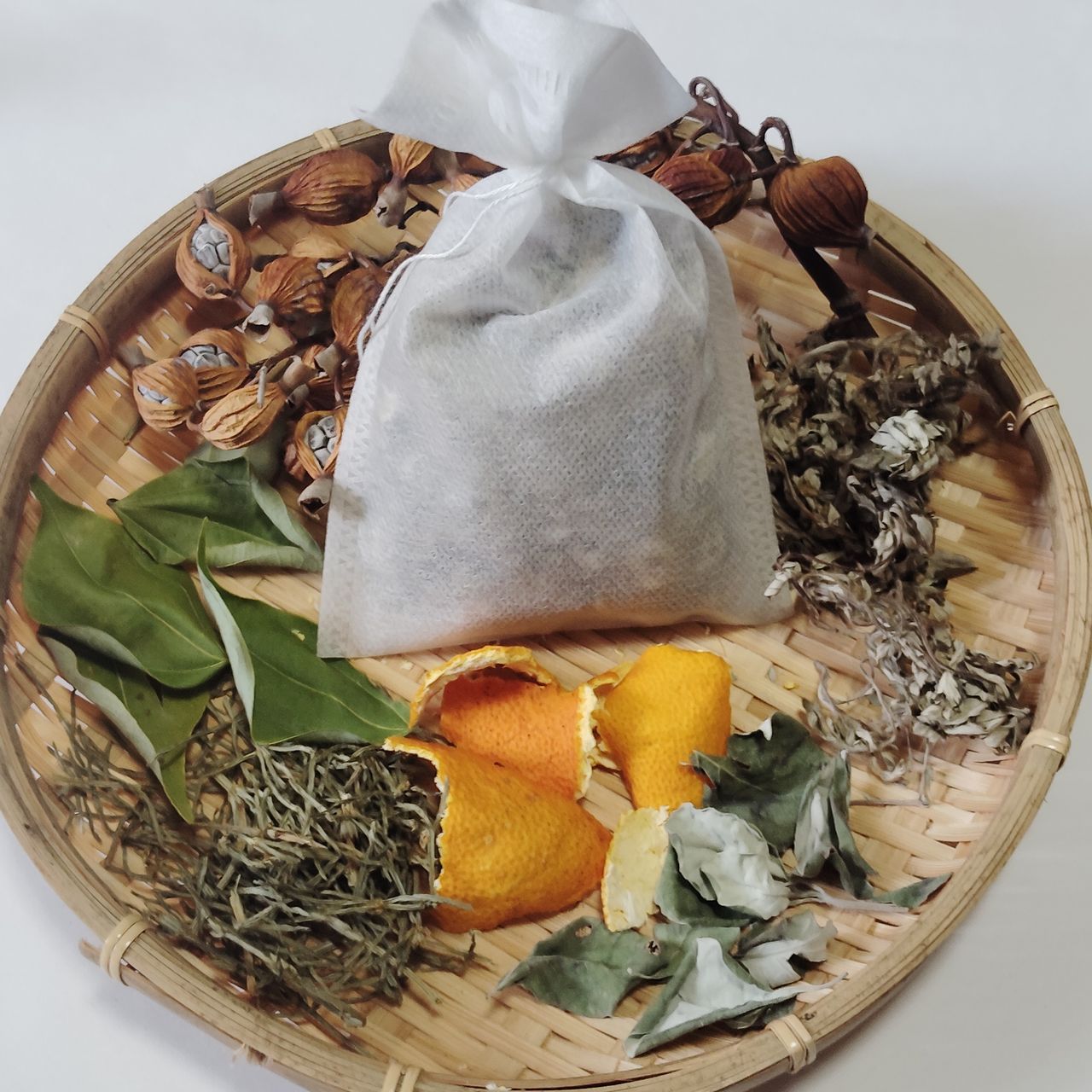 坂下 典子の画像１