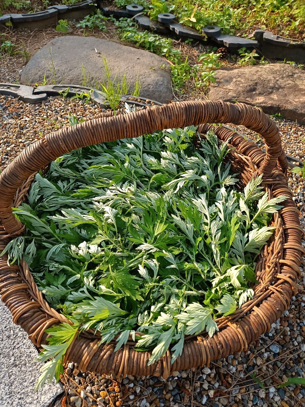 坂下 典子の画像２