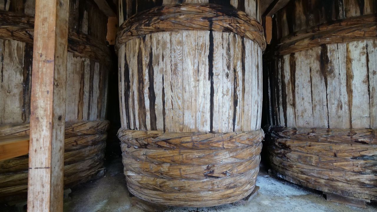 片上 公美の画像３