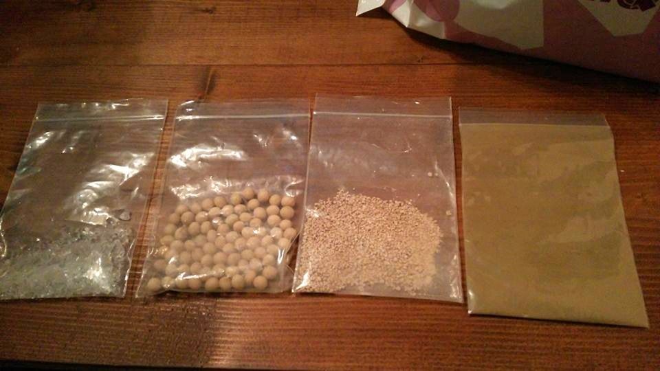 片上 公美の画像４