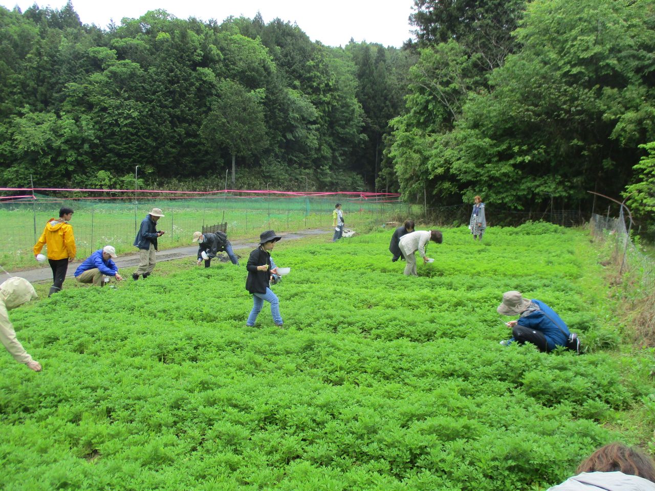 久保田 勝典の画像２