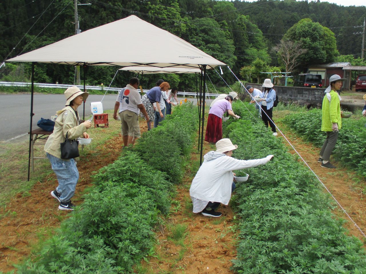 久保田 勝典の画像２