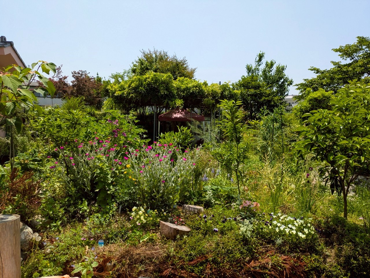 土谷 美由紀の画像４