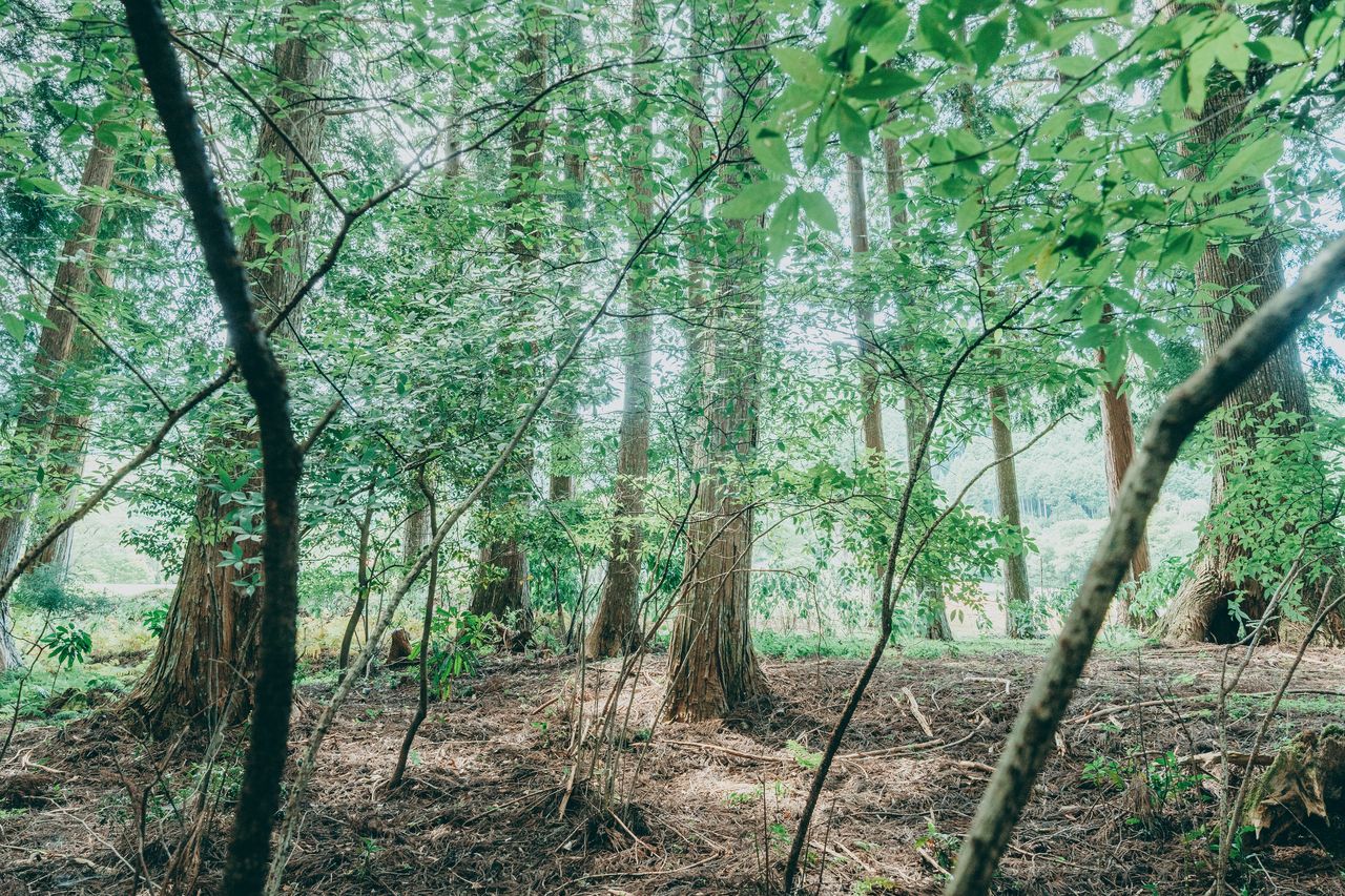 奥田深緒の画像３