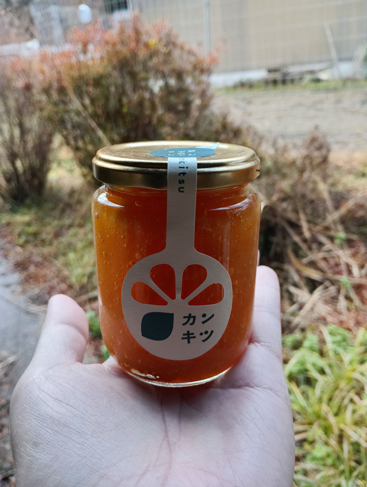 フツ屋の画像２