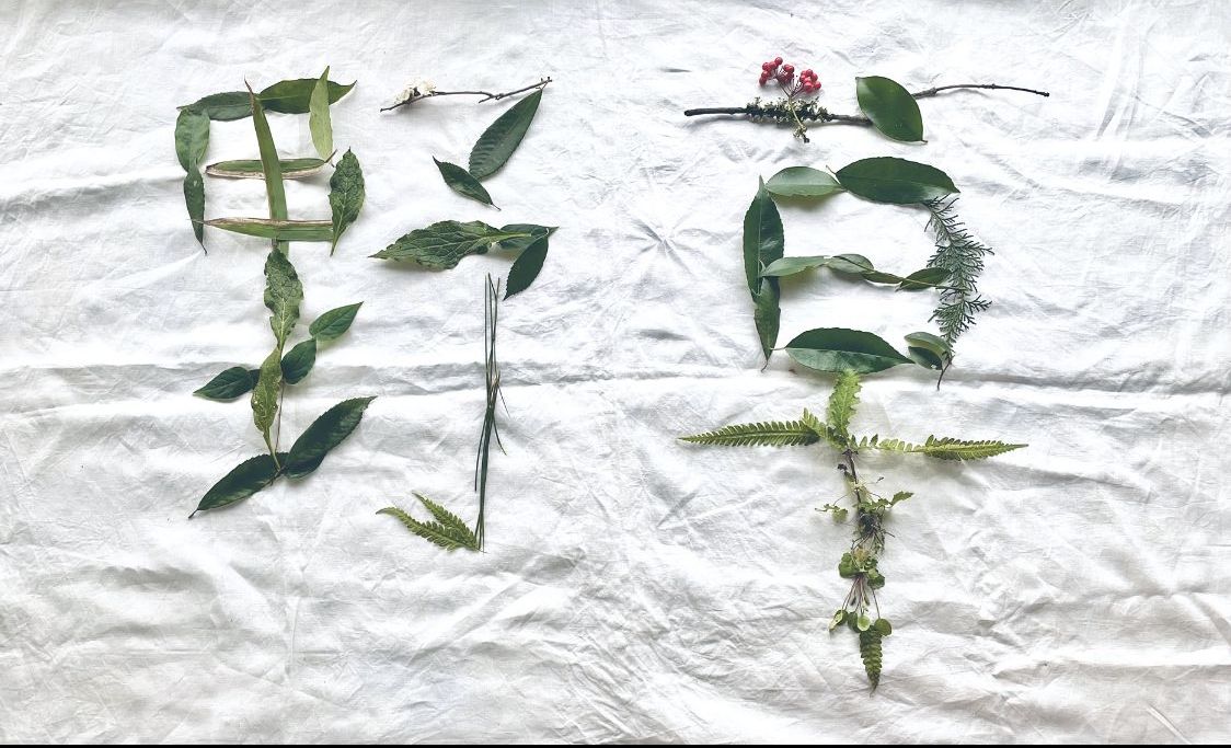 北九州野草サークルの画像