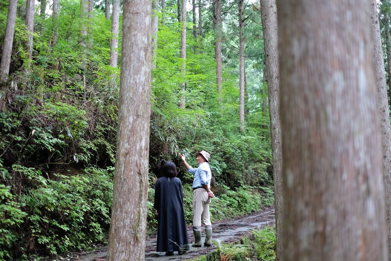 jiwajiwaの画像３