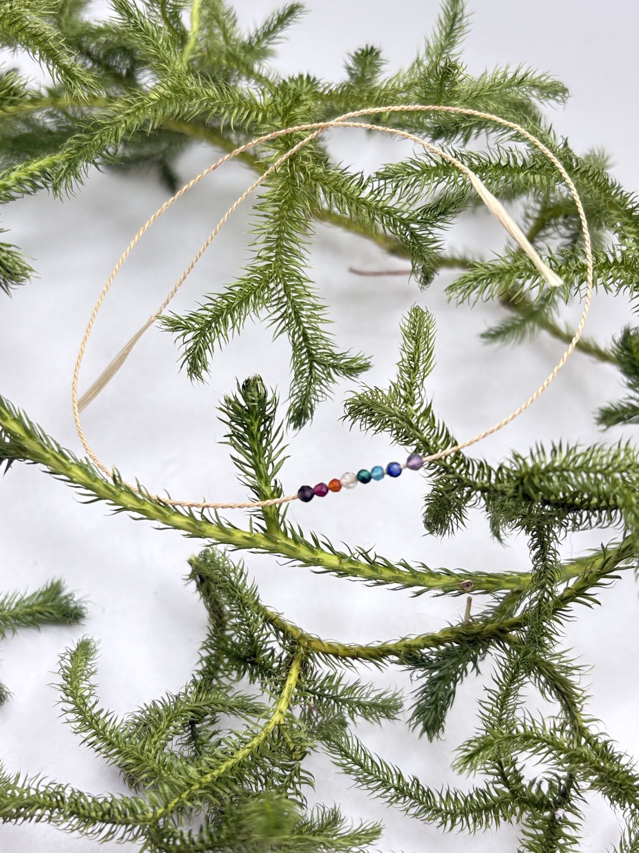 麻矢asa-ya の画像１