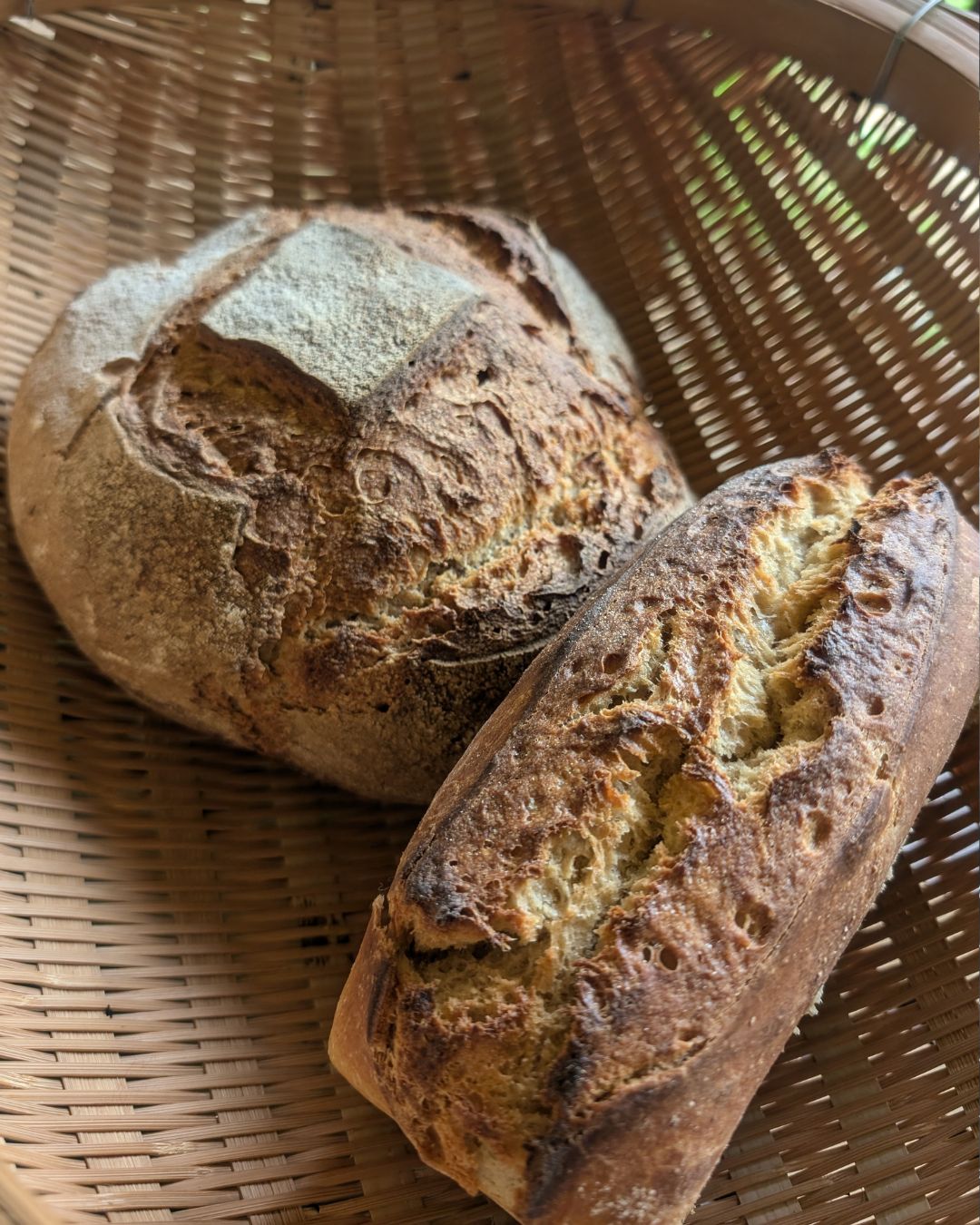 むらのパン もりたにの画像