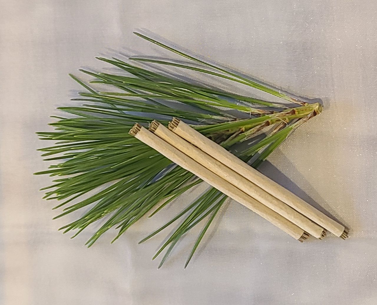 かごカフェ　コノハナサクヤの画像