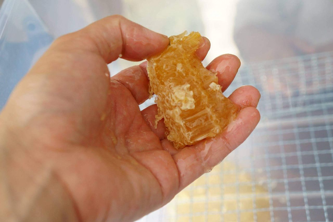 さといろ本舗の画像３