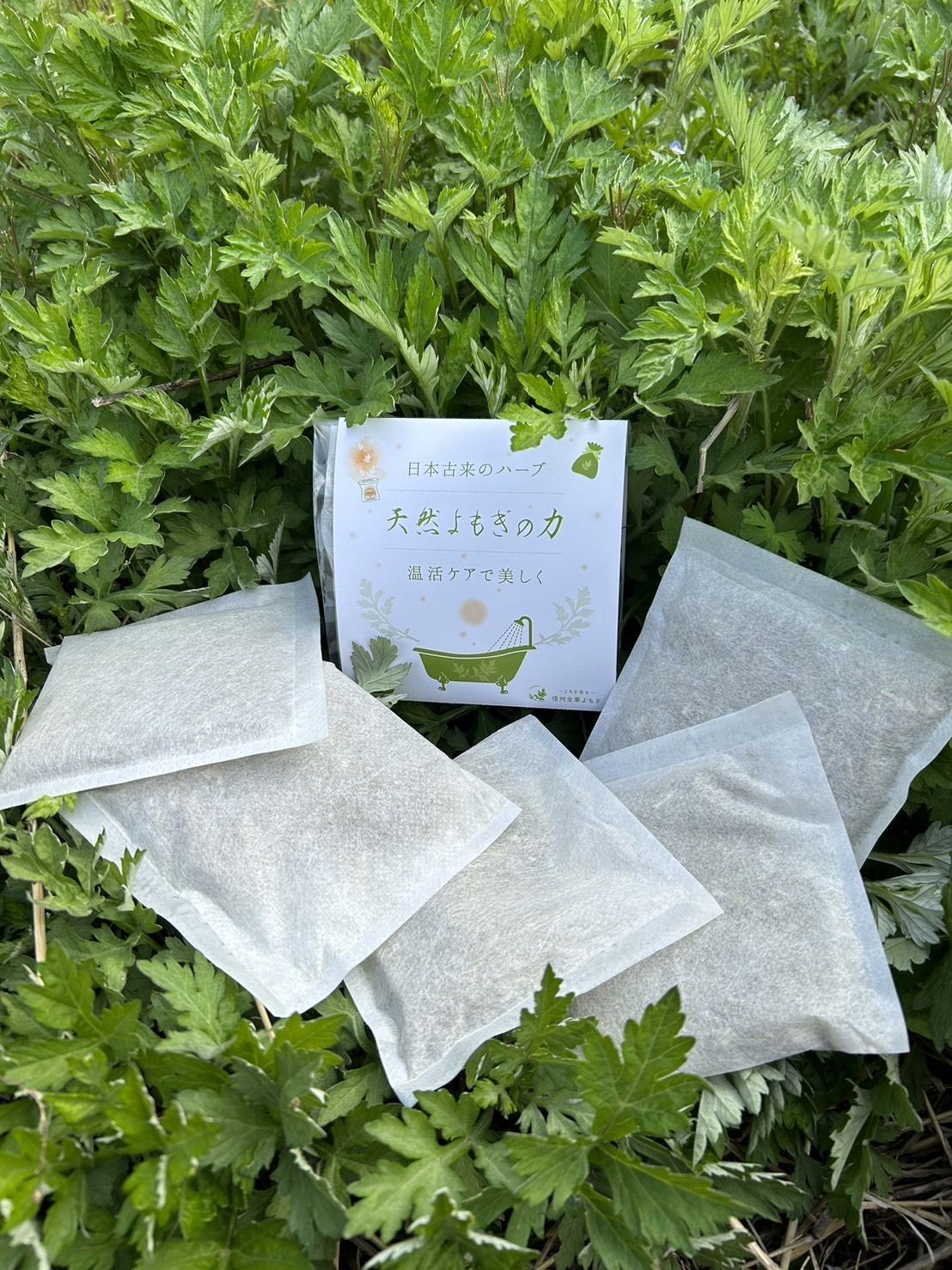 よもぎ屋の画像２