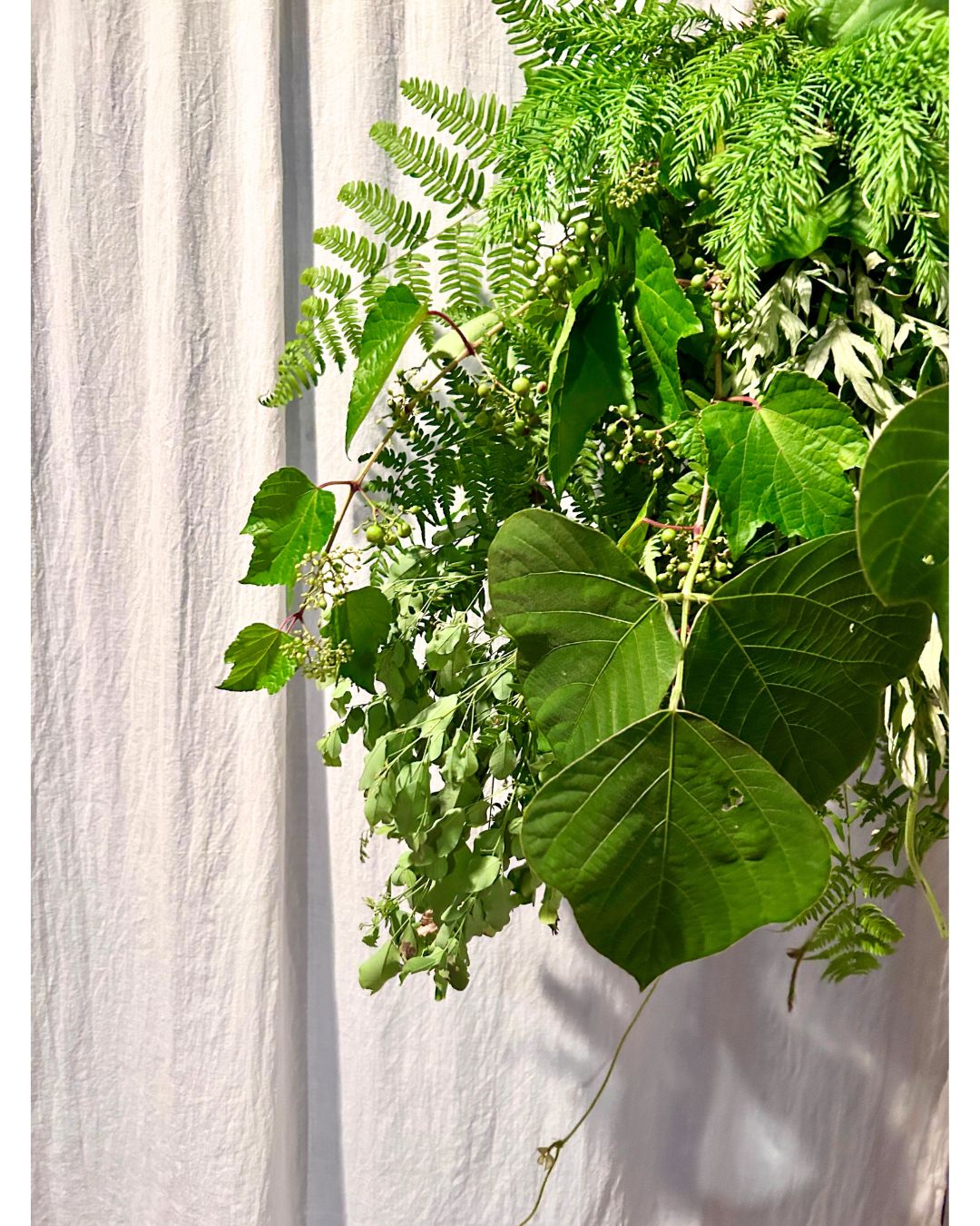 ミチノクの薬草魔女プロジェクトの画像１