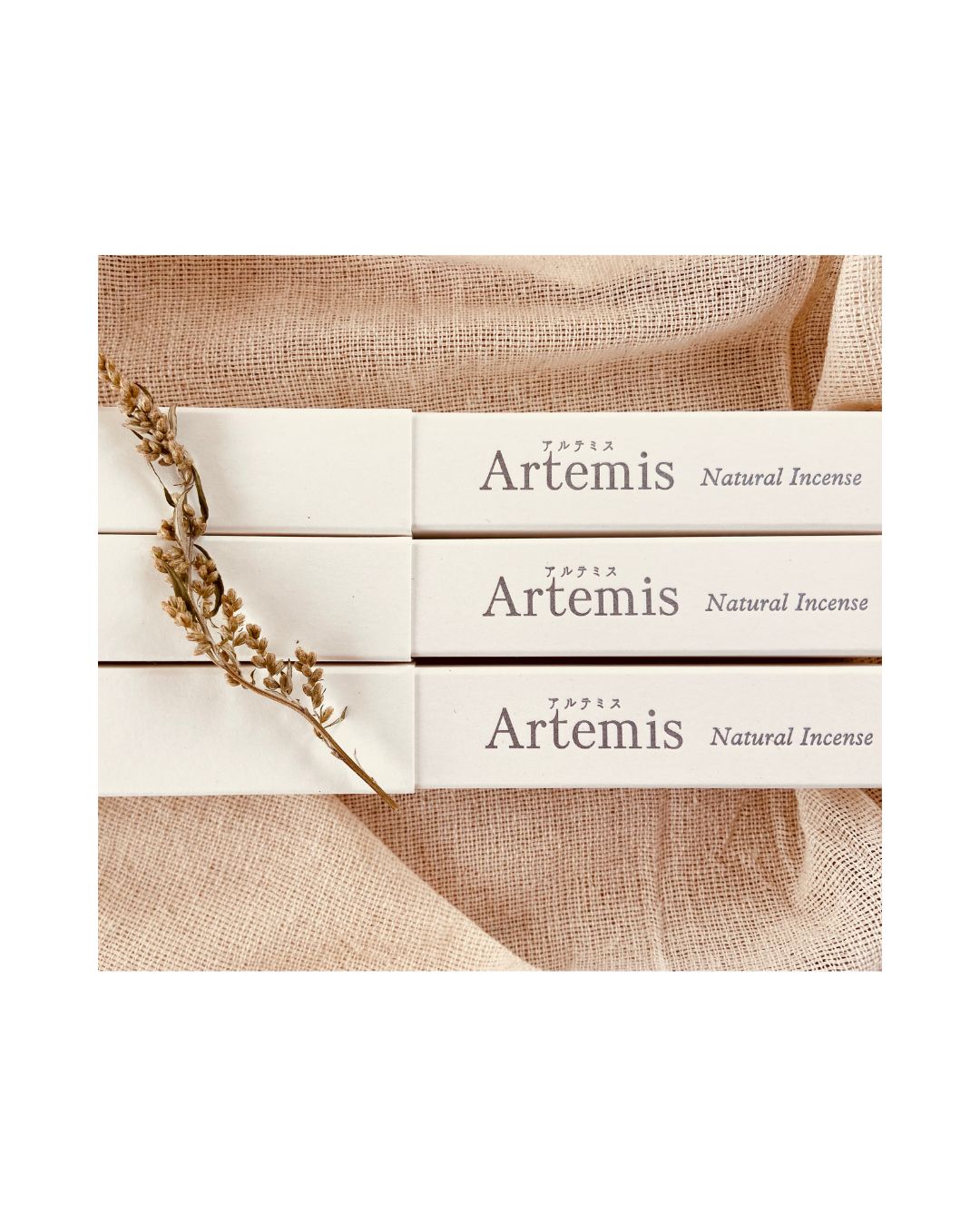 ミチノクの薬草魔女プロジェクトの画像３