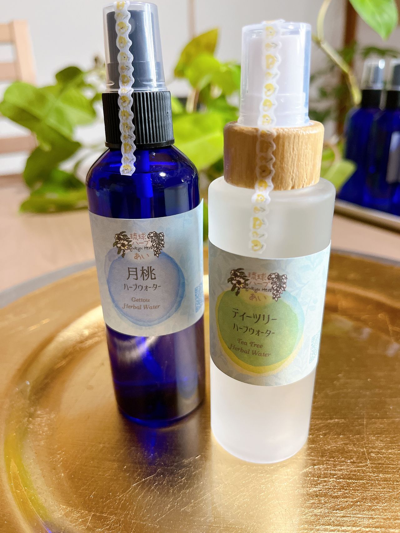 琉球ハーブあいの画像２