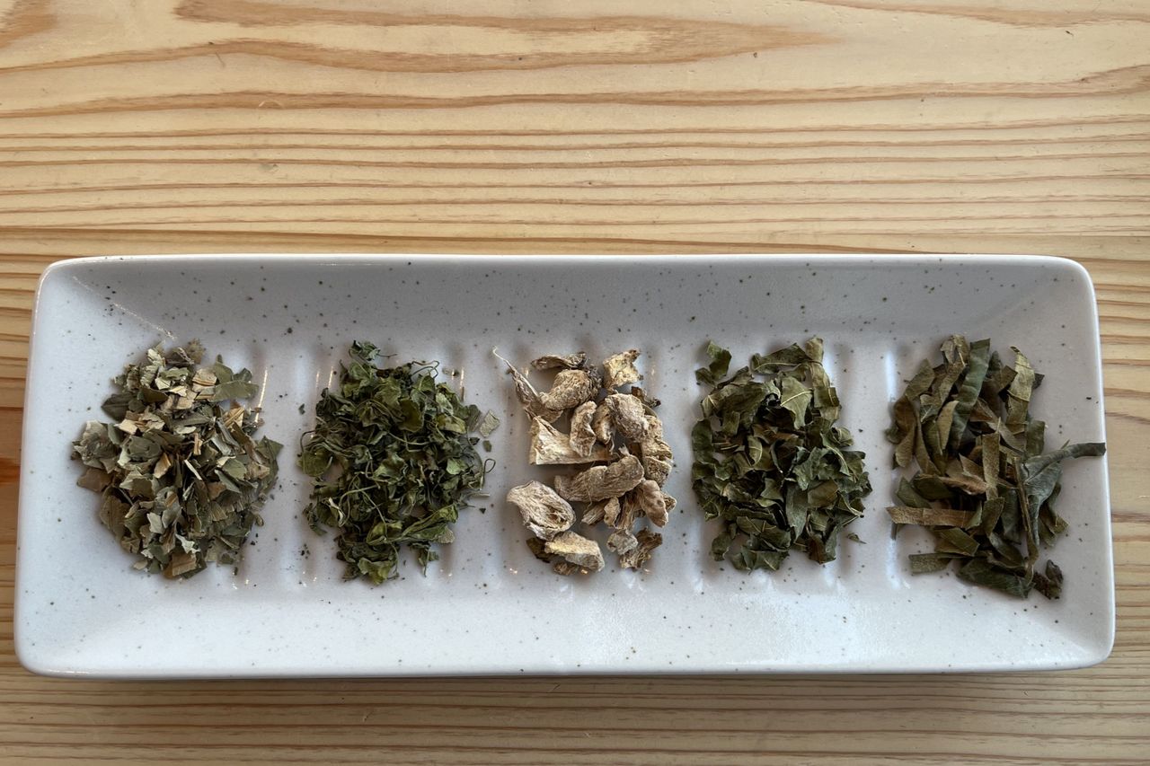 森のなかまの画像