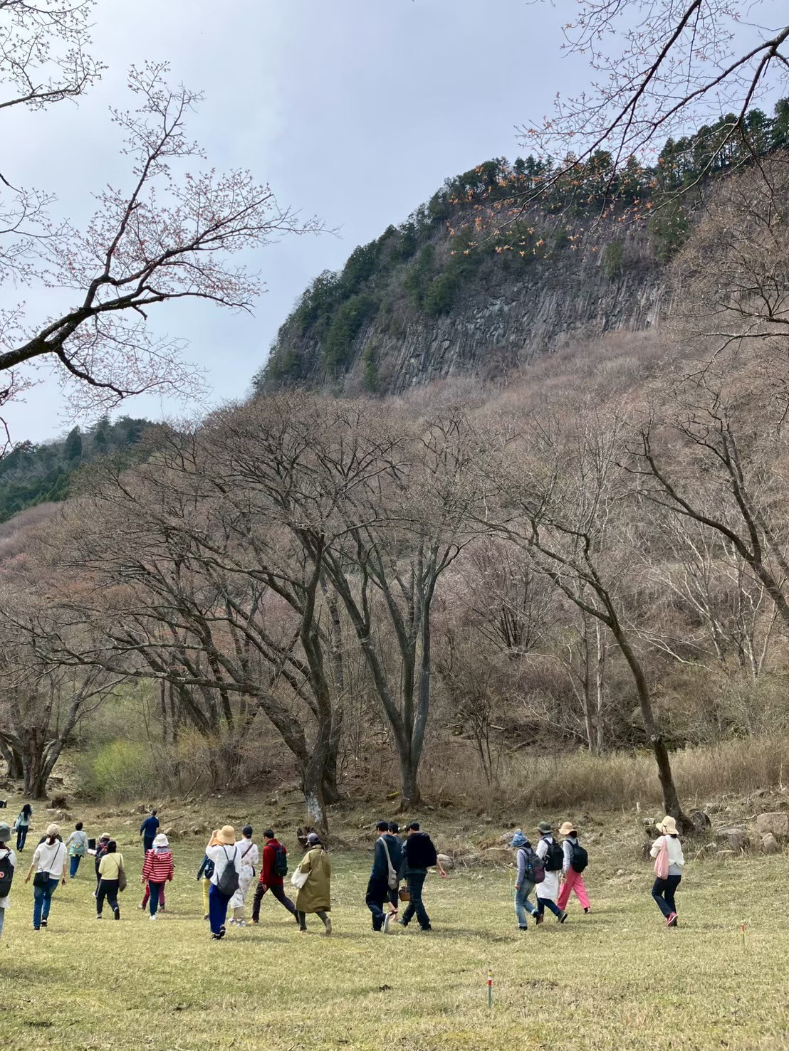 春の和ハーブ教室の画像３