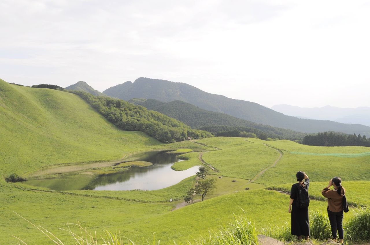 春の和ハーブ教室の画像４