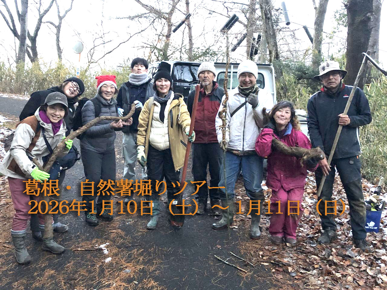 葛根・自然薯堀りツアー１回目の画像