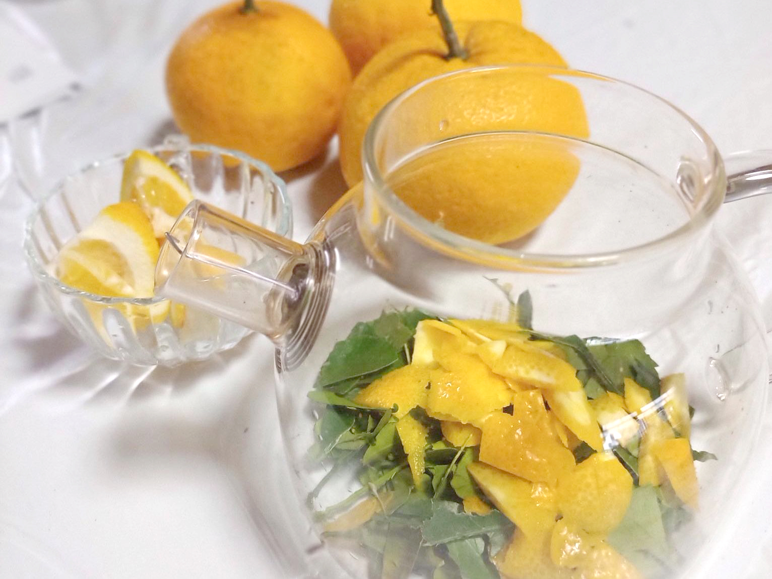 講座「薬草の活用法について」＆<br/>ワークショップ「薬草染め体験」の画像