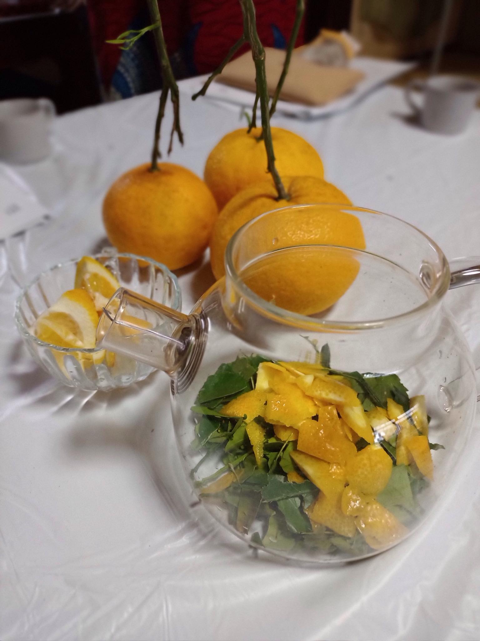 講座「薬草の活用法について」＆<br/>ワークショップ「薬草染め体験」の画像１