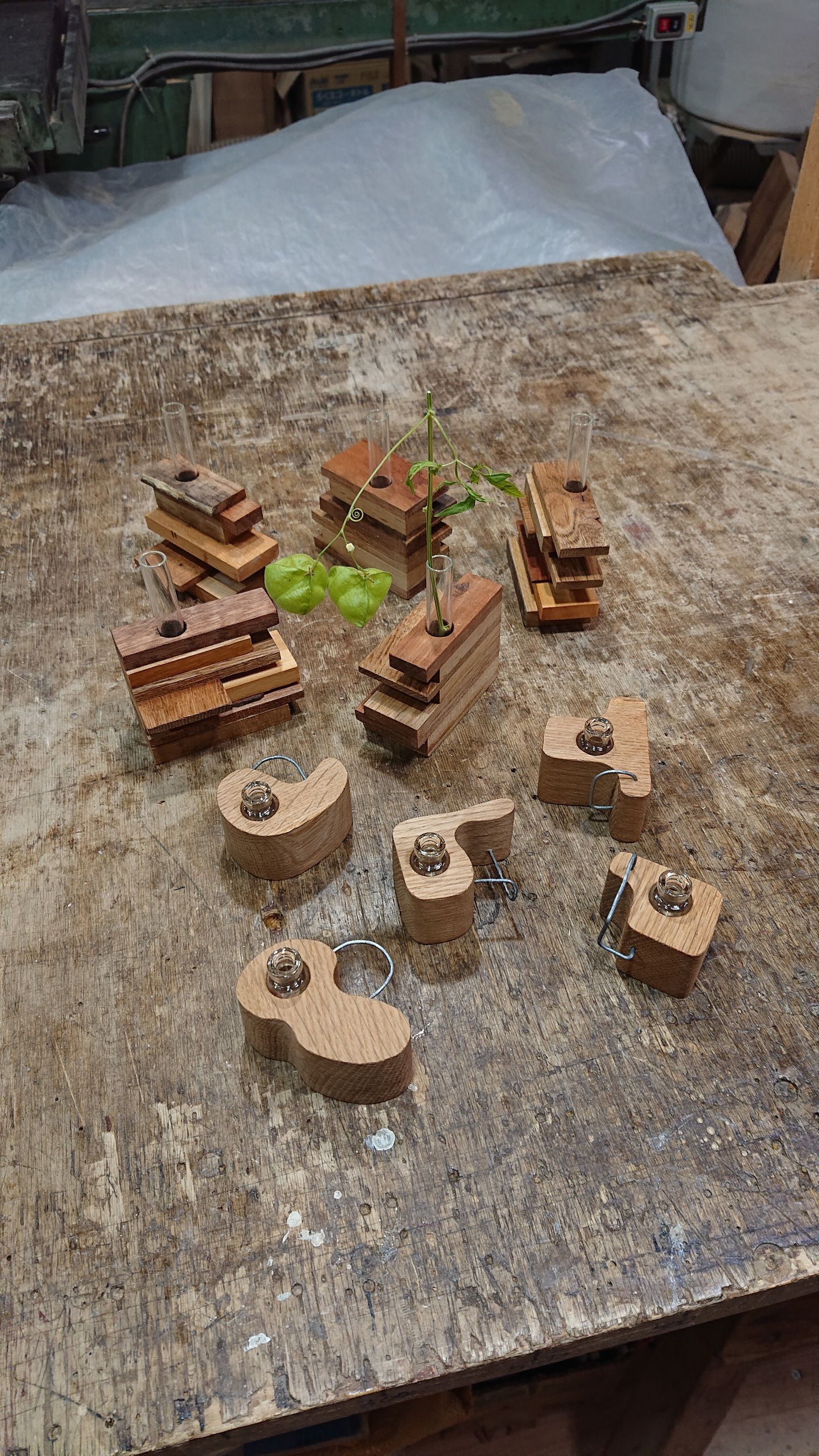 コレカラキの画像