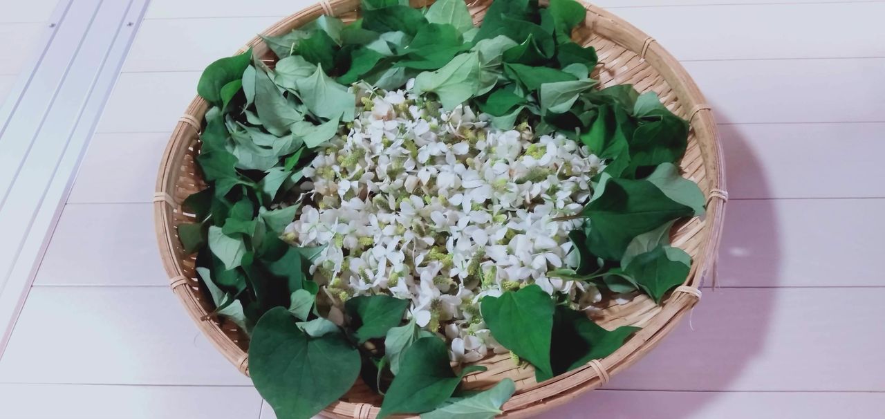 坂下 典子の画像１