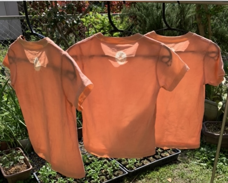 木村 美香の画像３