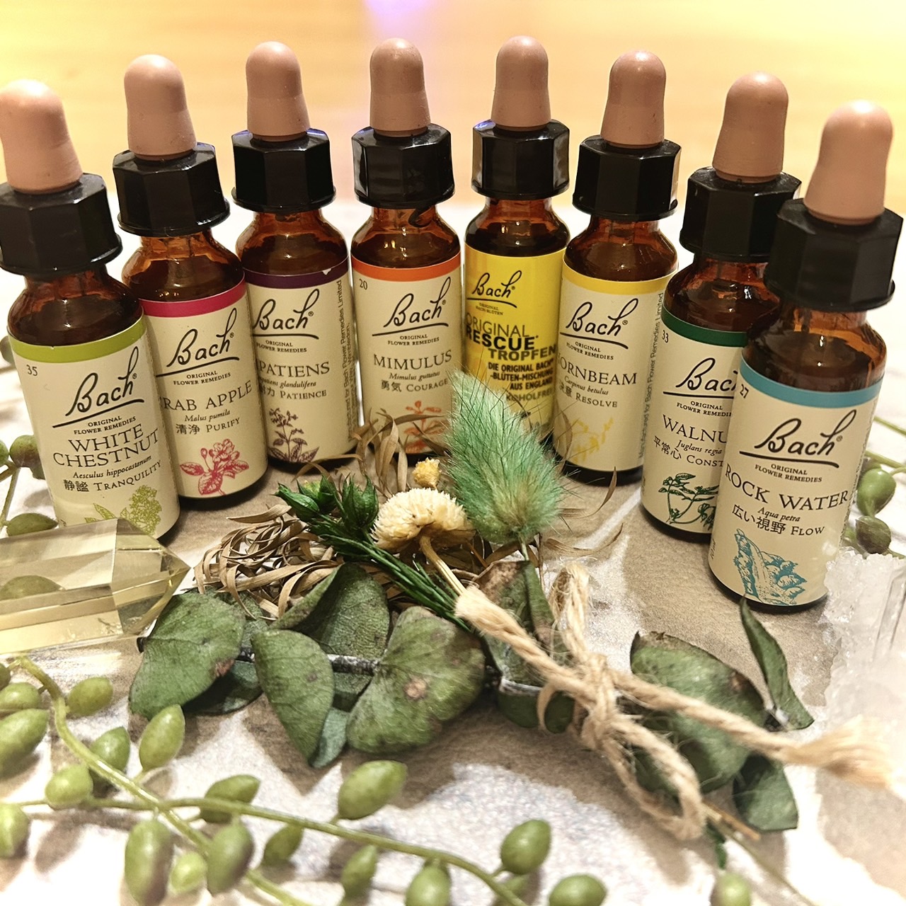 竹田 房恵の画像１