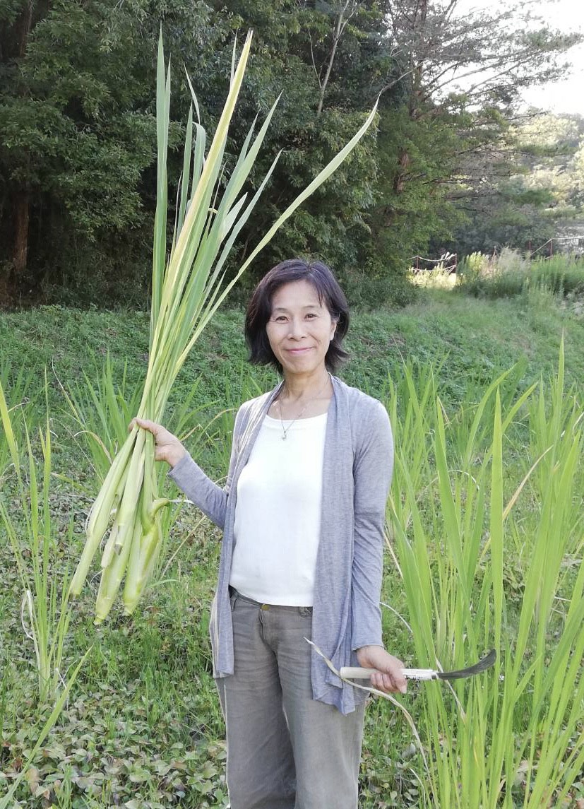 矢部 美紗の画像