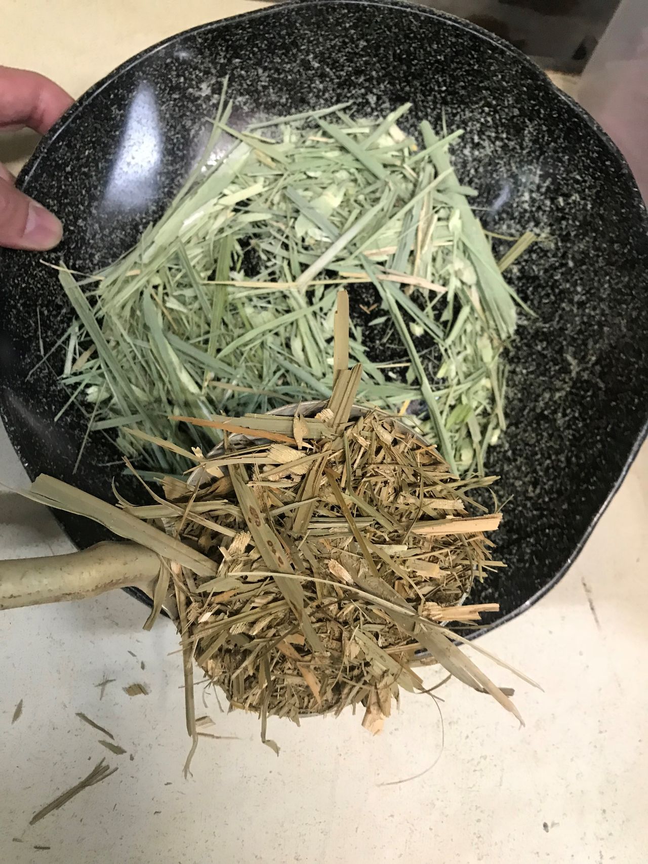 矢部 美紗の画像４