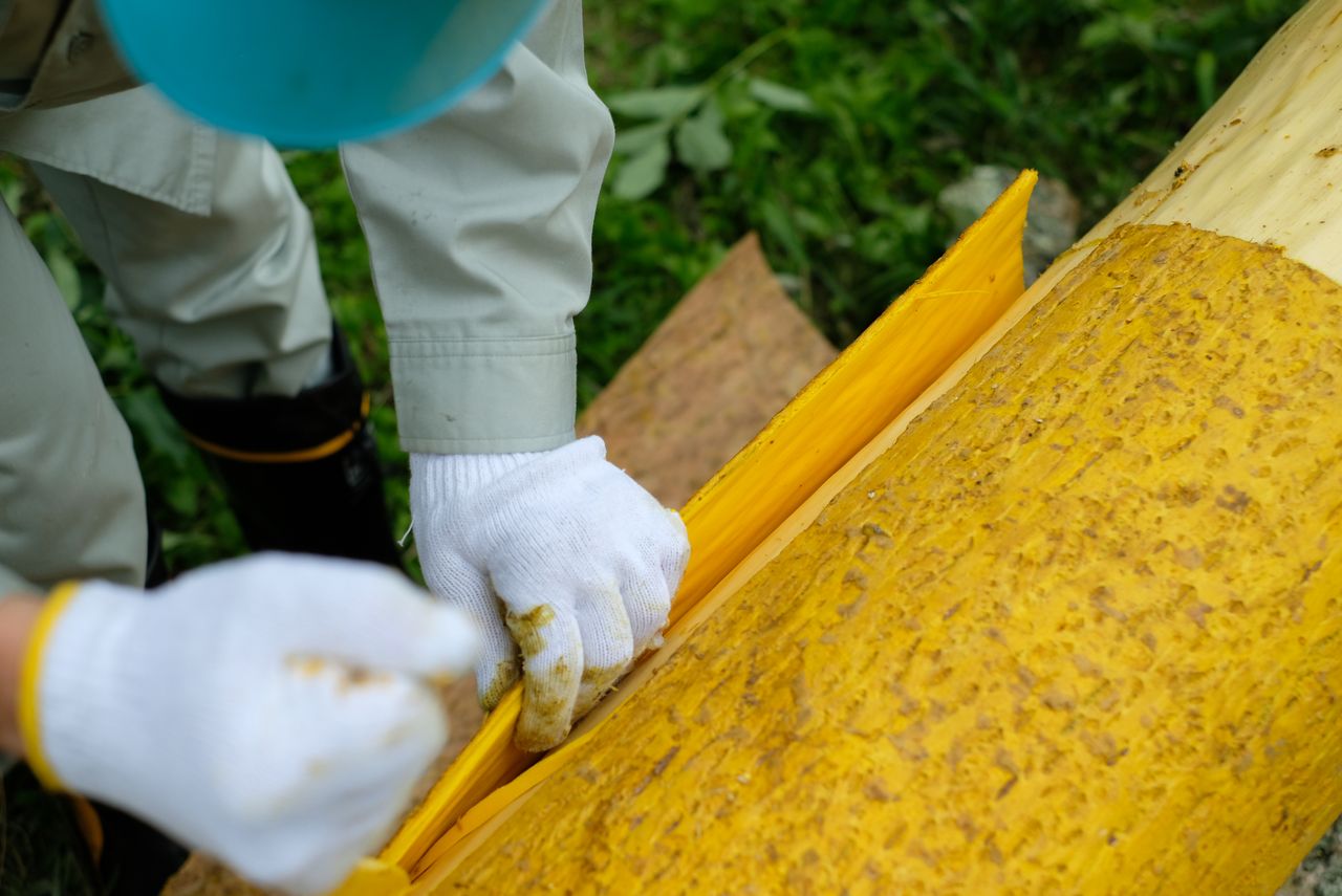 保科 政秀の画像３