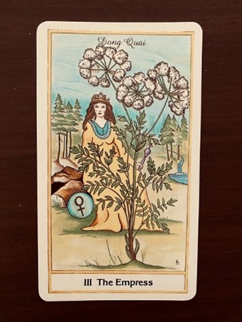 Hoa Sua Salon の画像