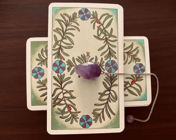 Hoa Sua Salon の画像２