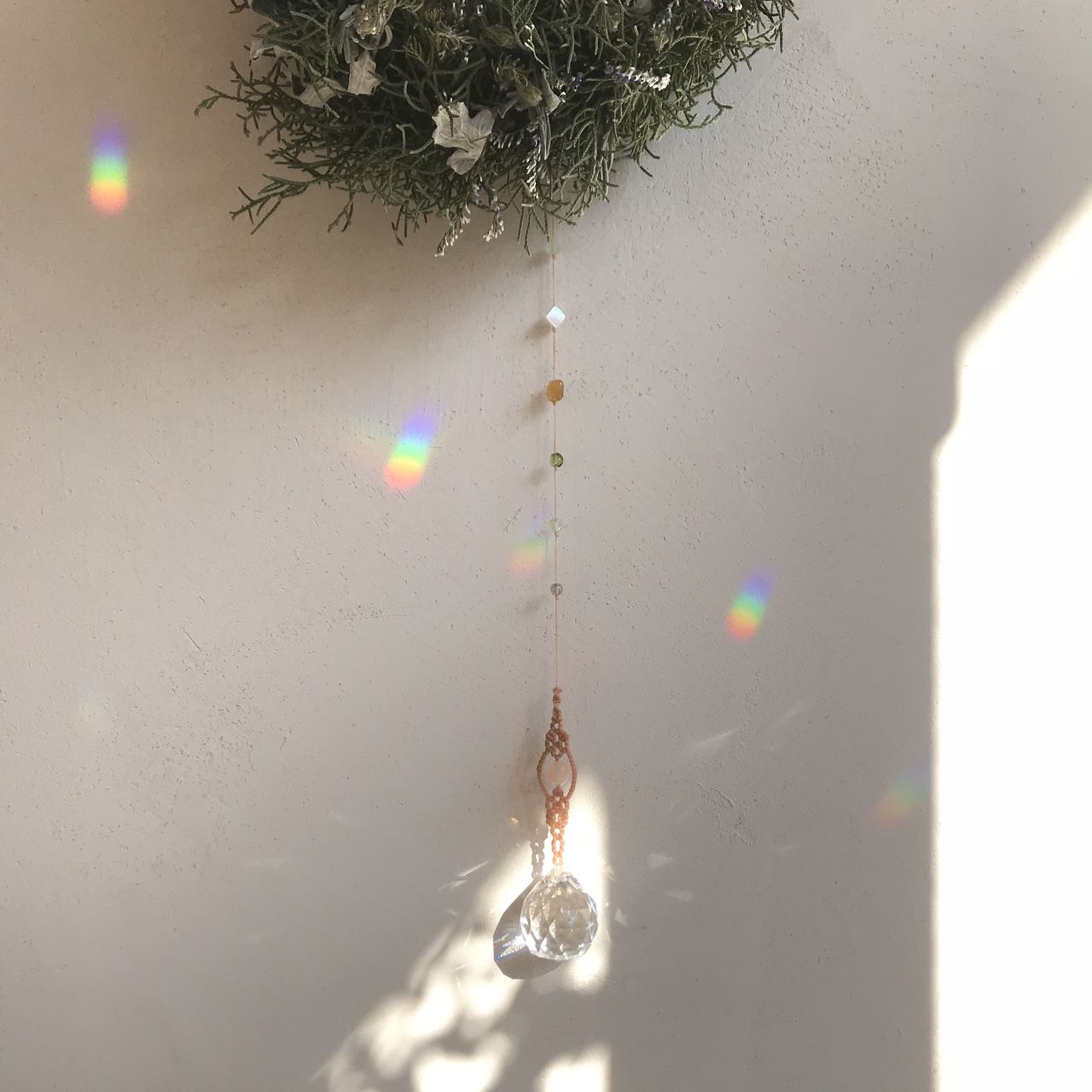 Medete-yayaco∞ya-（メデテヤヤコヤ）の画像１