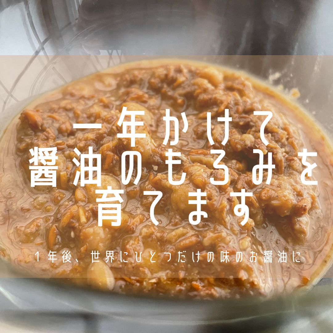 宮本 結実の画像２