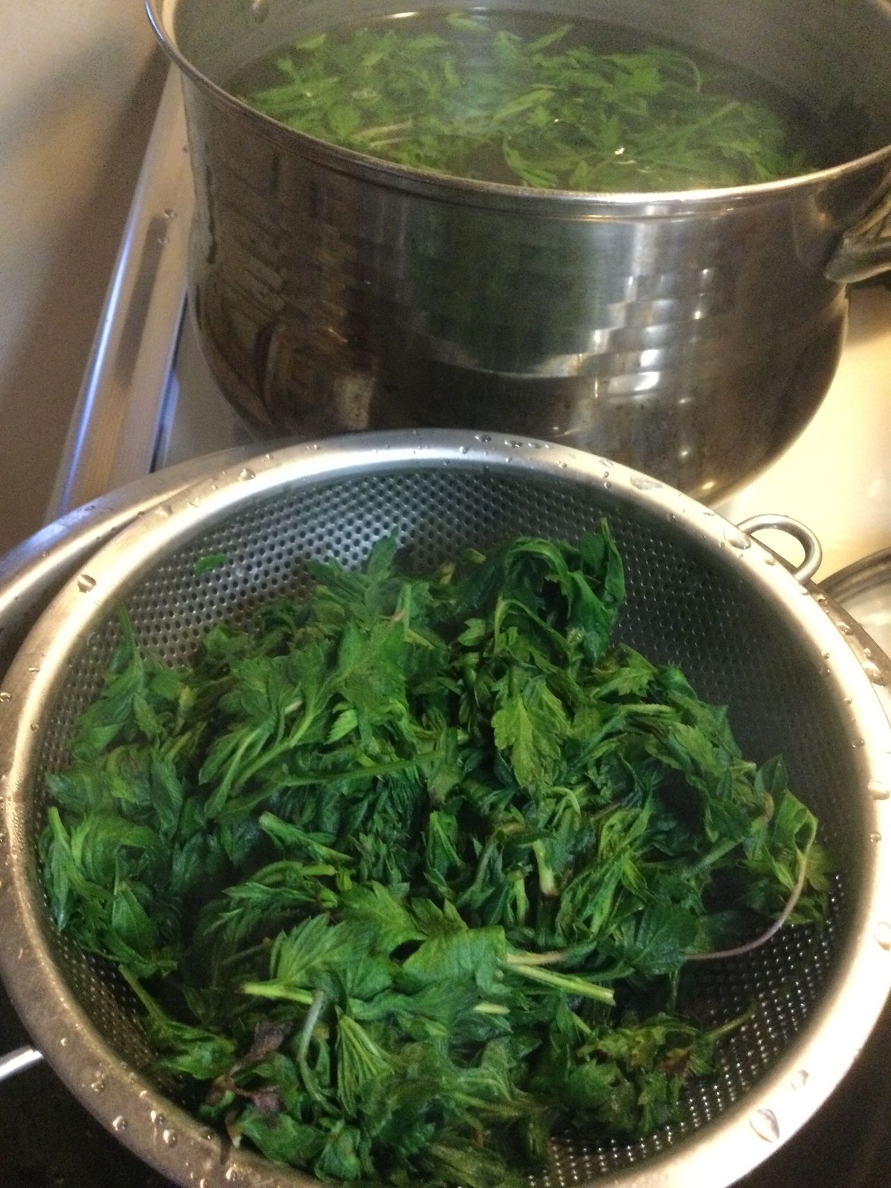 福田 恵の画像３