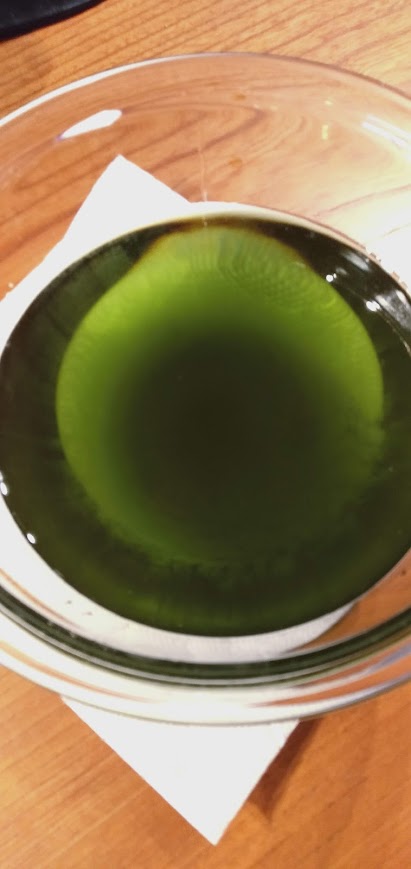 坂下 典子の画像２