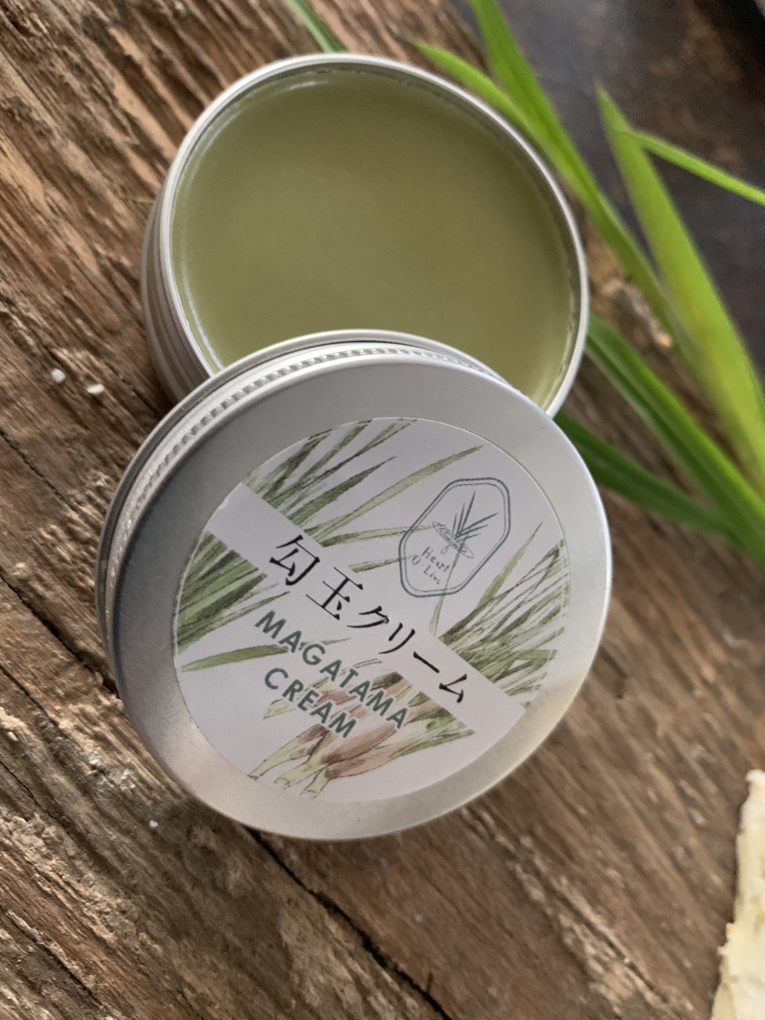 矢部 美紗の画像２