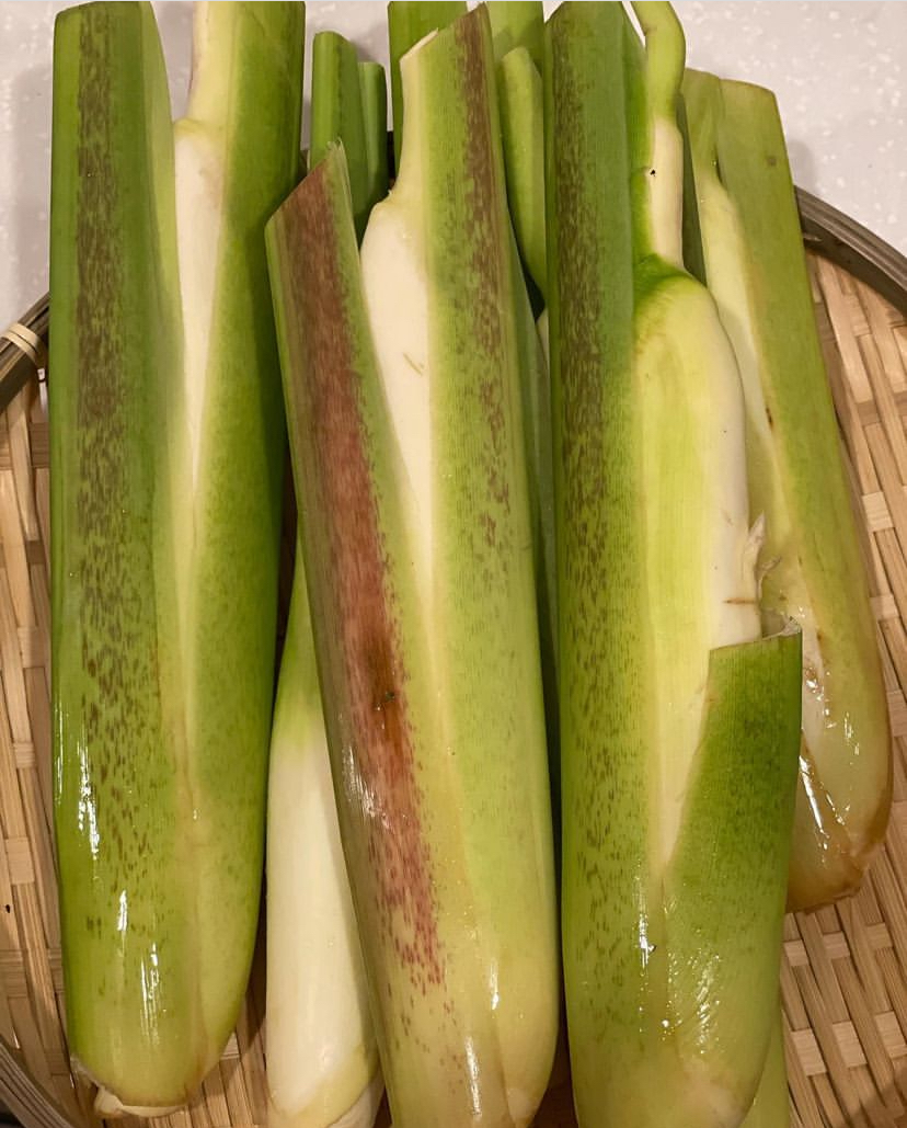 浦島 誠子の画像