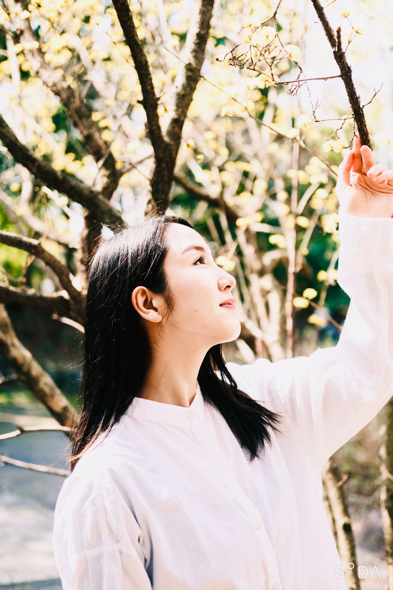 大塚 美穂の画像