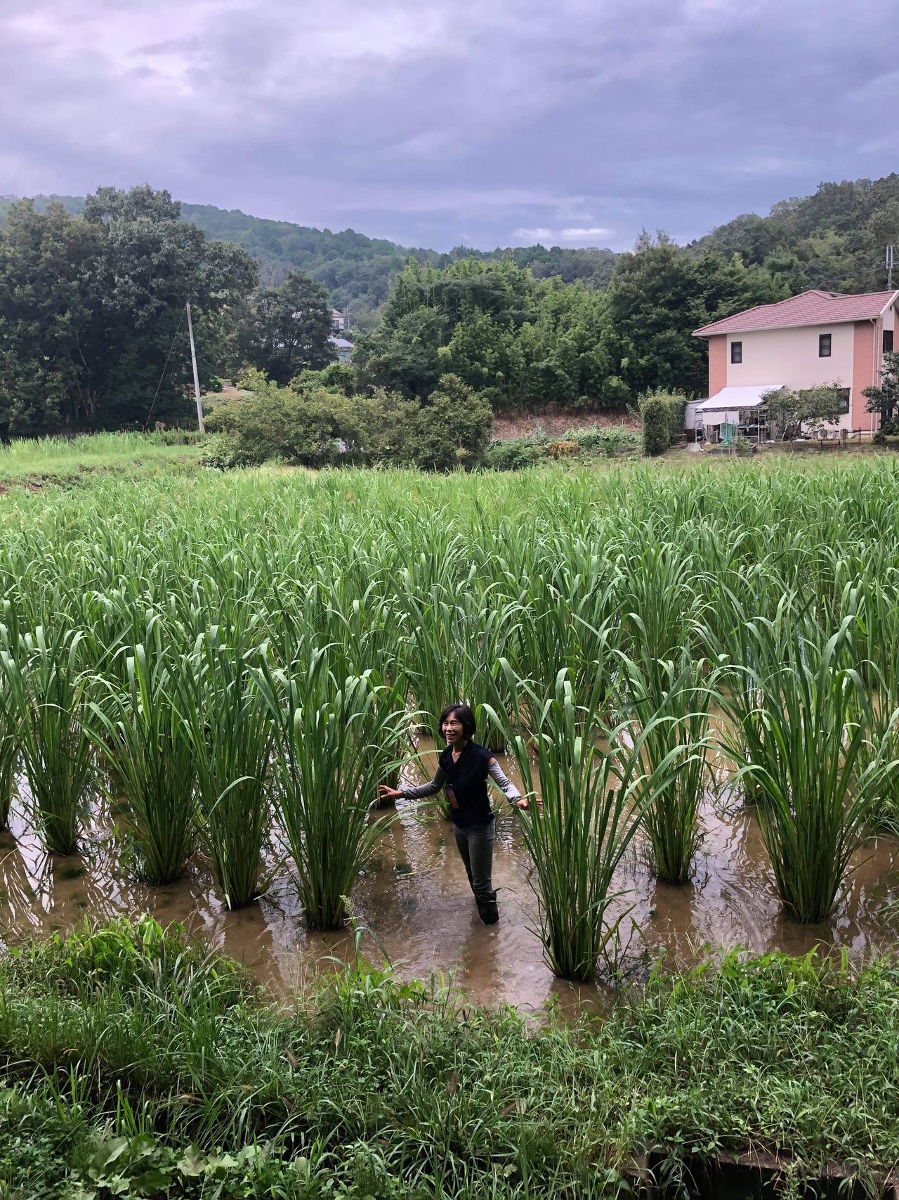 矢部 美紗の画像