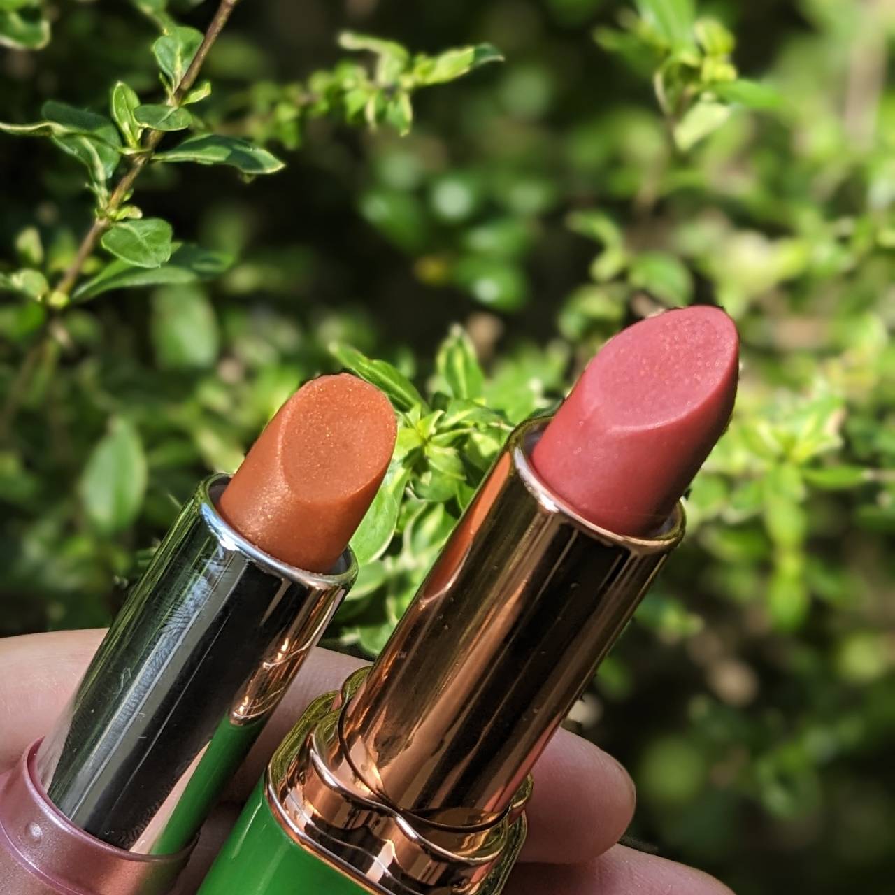 紡生・tsumugi・の画像１