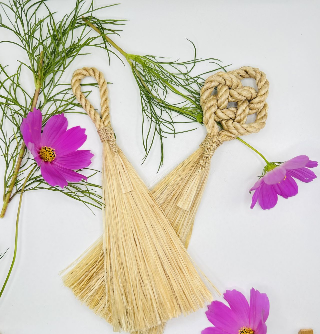 麻矢asa-ya の画像１