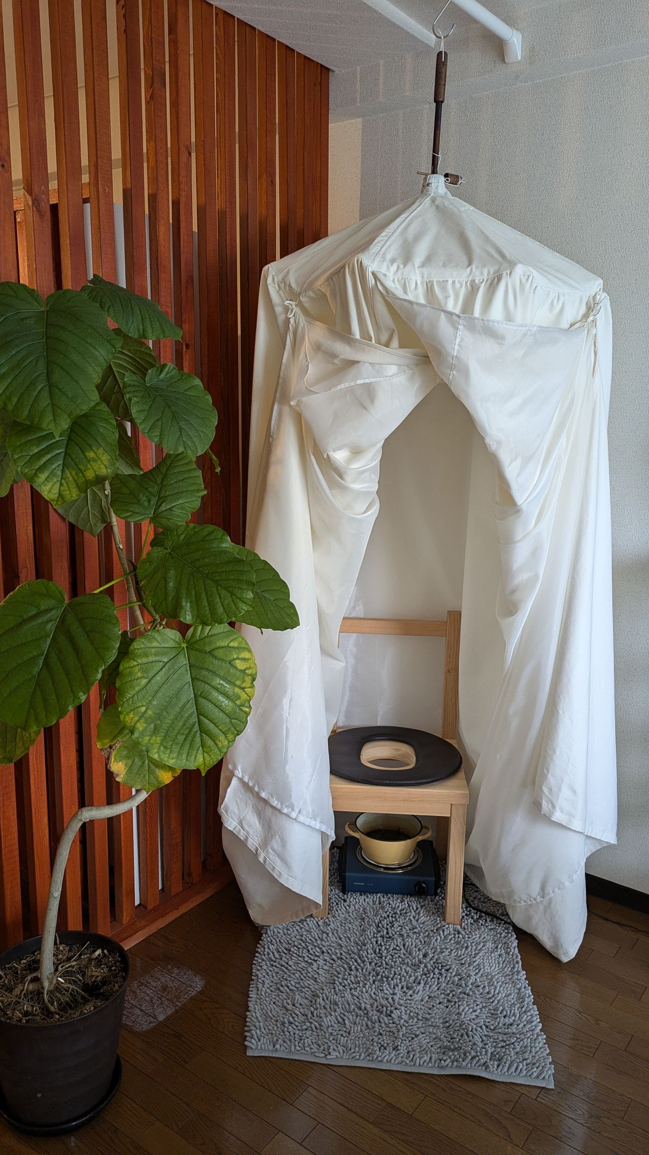 大和かぎろひの画像